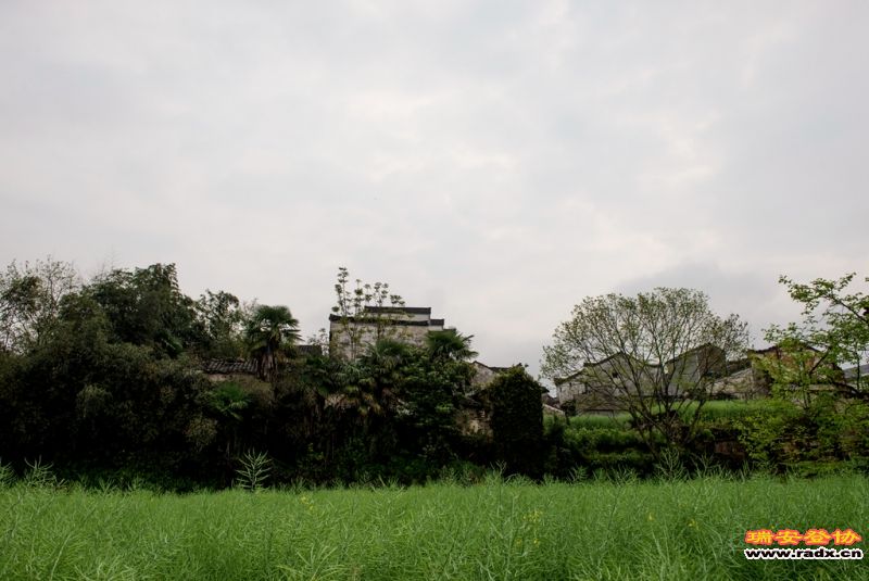 DSC_3162.jpg