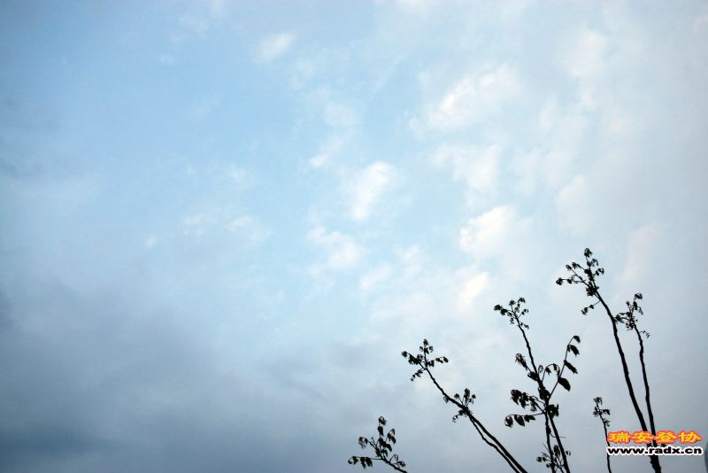 _MG_0443.JPG
