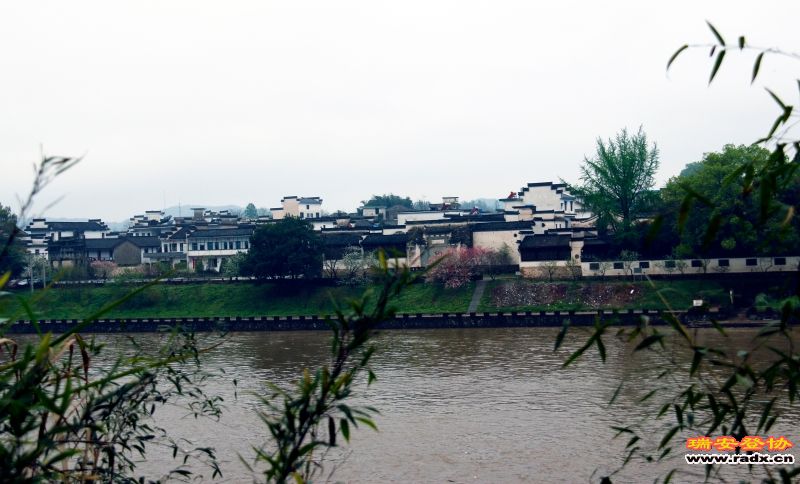 _MG_0502.JPG