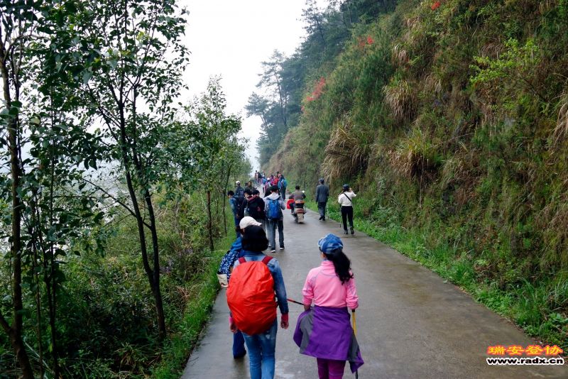 _MG_0503.JPG