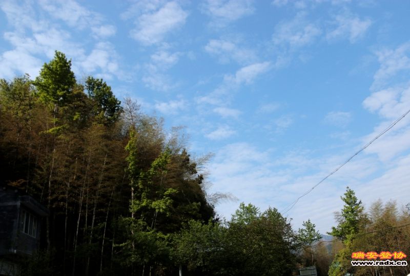 _MG_1045.JPG