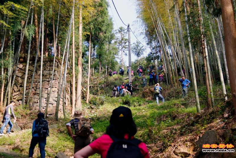 _MG_1094.JPG