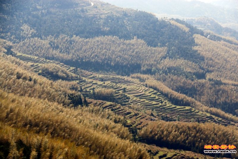_MG_1132.JPG