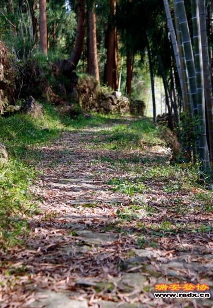 _MG_1109.JPG