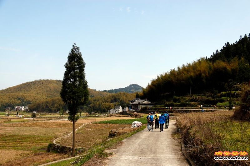 _MG_1154.JPG