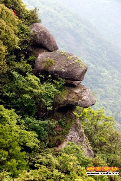 _MG_1700.JPG
