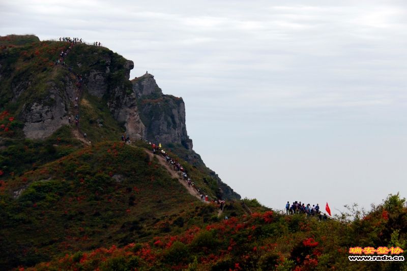 _MG_1755.JPG