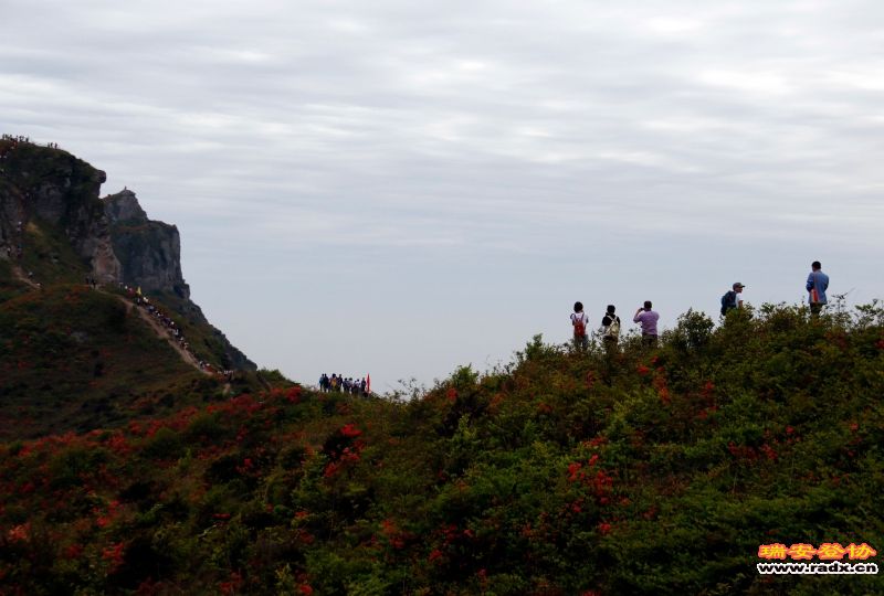 _MG_1756.JPG