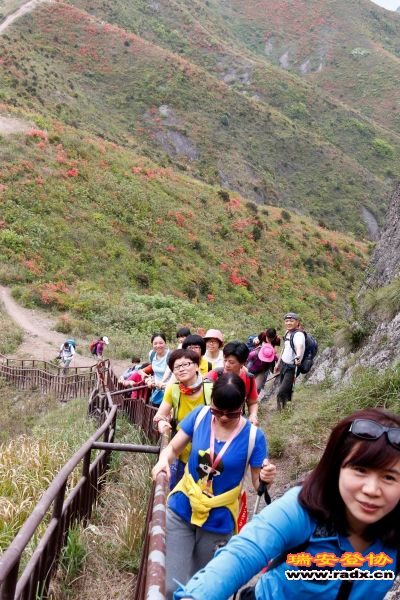 _MG_1833.JPG