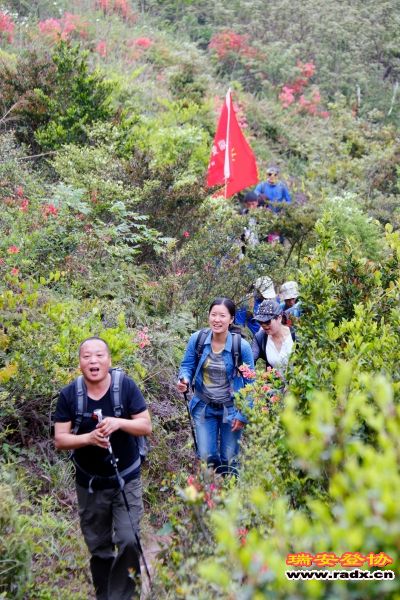 _MG_2055.JPG