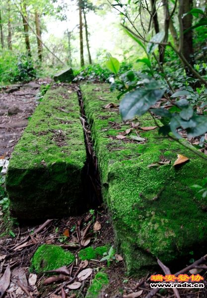 _MG_2078.JPG
