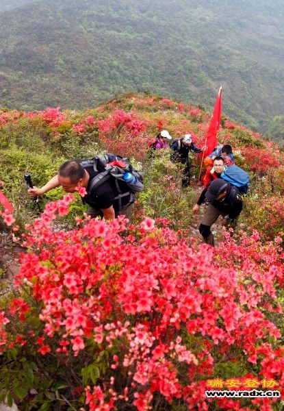 _MG_2174.JPG