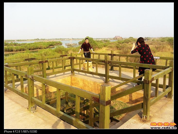 瑞安人，东营的李总。