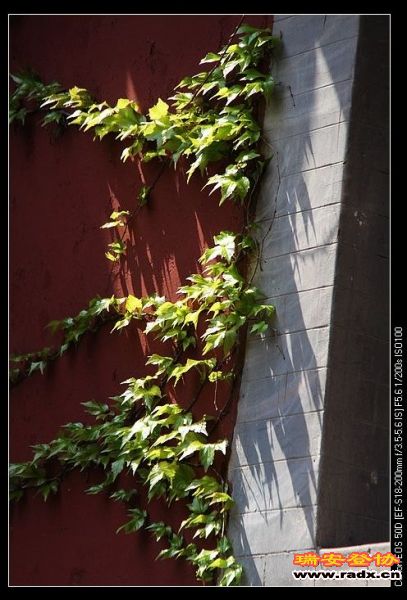 nEO_IMG_IMG_6422.jpg