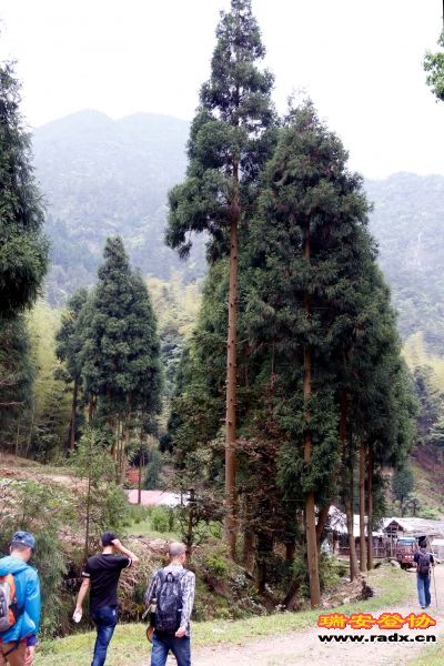 _MG_2568.JPG