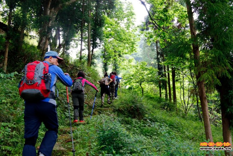 _MG_2637.JPG