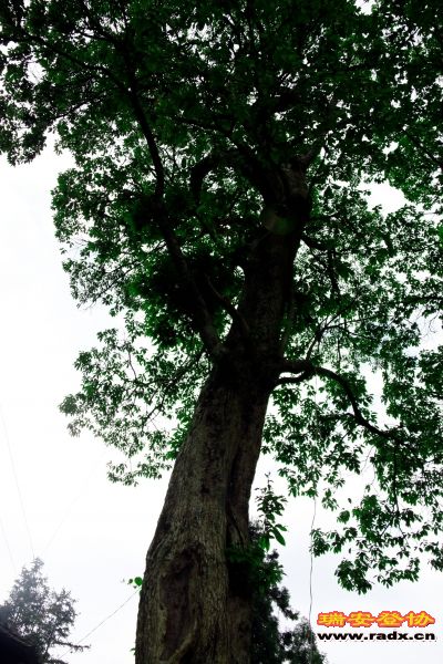 _MG_2668.JPG