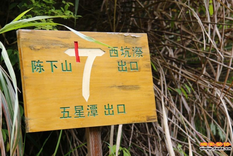 _MG_2669.JPG