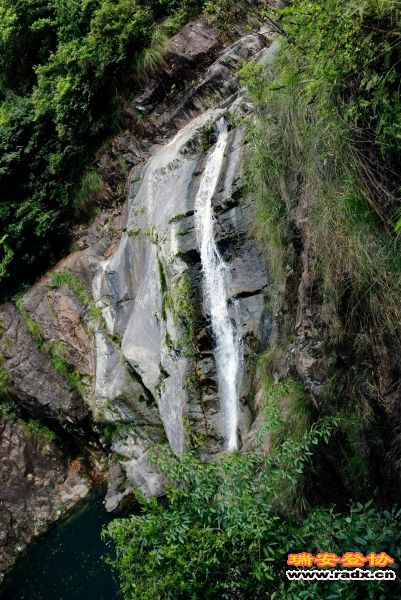 _MG_2748.JPG