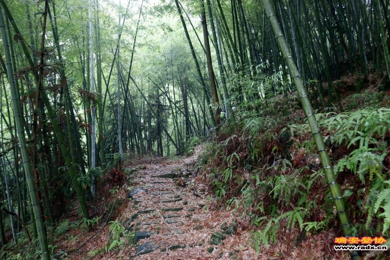 _MG_4980.JPG