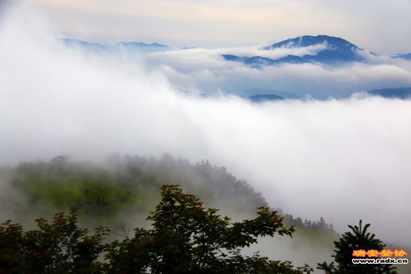 _MG_5056.JPG