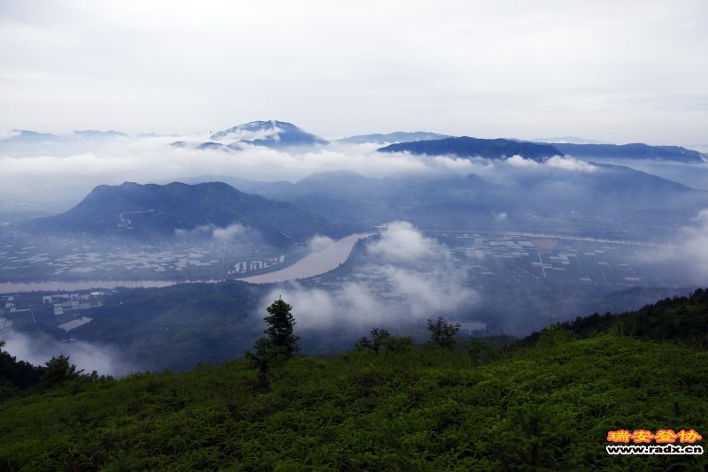 _MG_5099.JPG