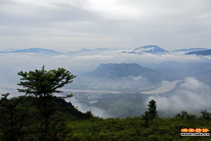 _MG_5102.JPG