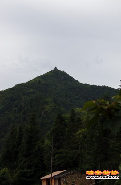 _MG_5133.JPG