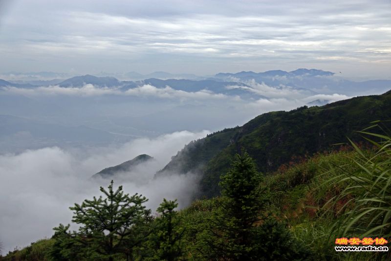 _MG_5129.JPG