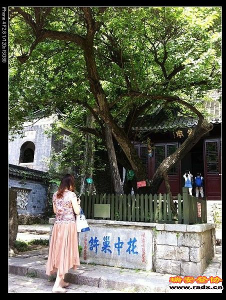 欧阳修亲自栽的树