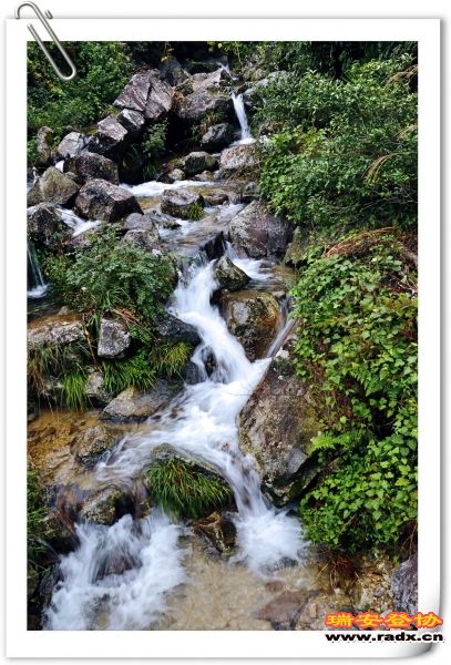IMG_8276.jpg