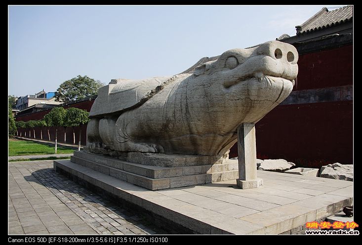 出土的原物  唐代  107吨