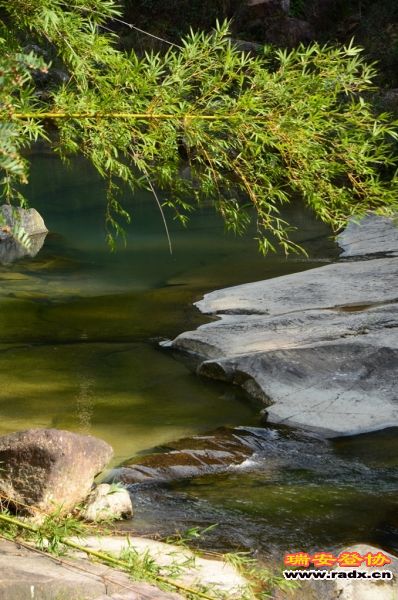 DSC_1621.jpg