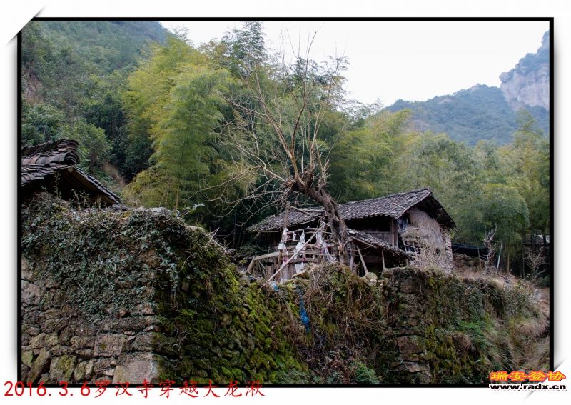 _MG_9408.jpg
