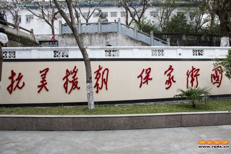 _MG_0801.JPG