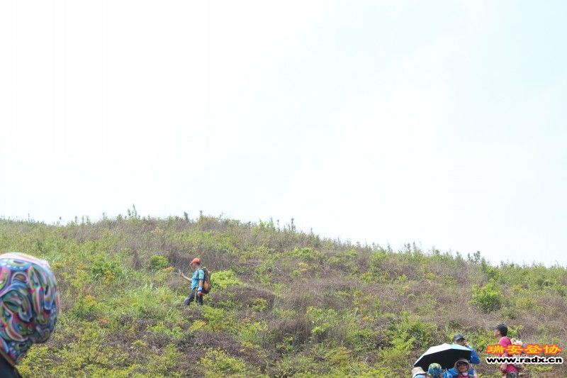 conew_img_7712.jpg