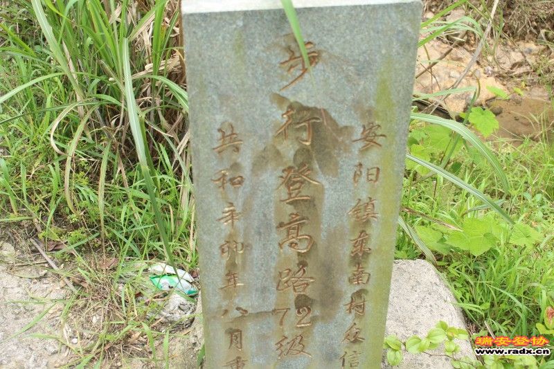conew_img_7727.jpg