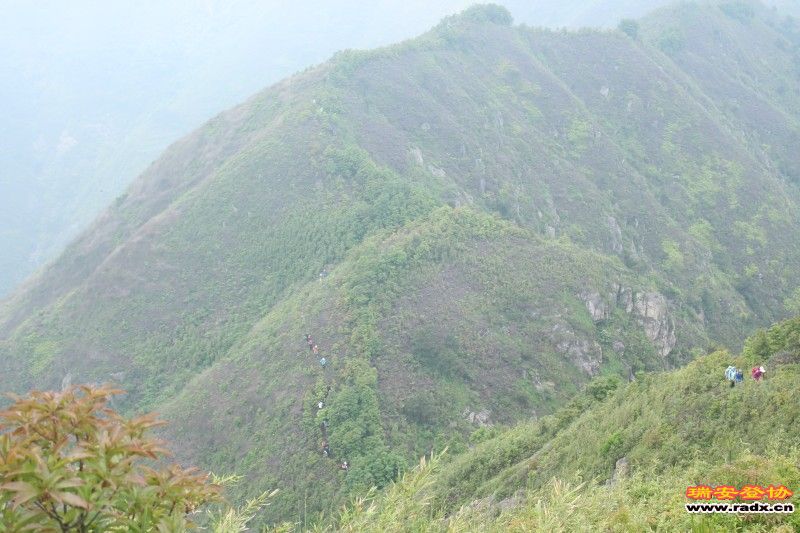 conew_img_7743.jpg
