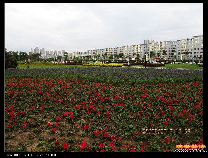 nEO_IMG_IMG_1724.jpg