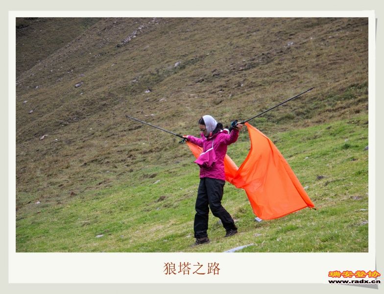 _MG_9454.JPG