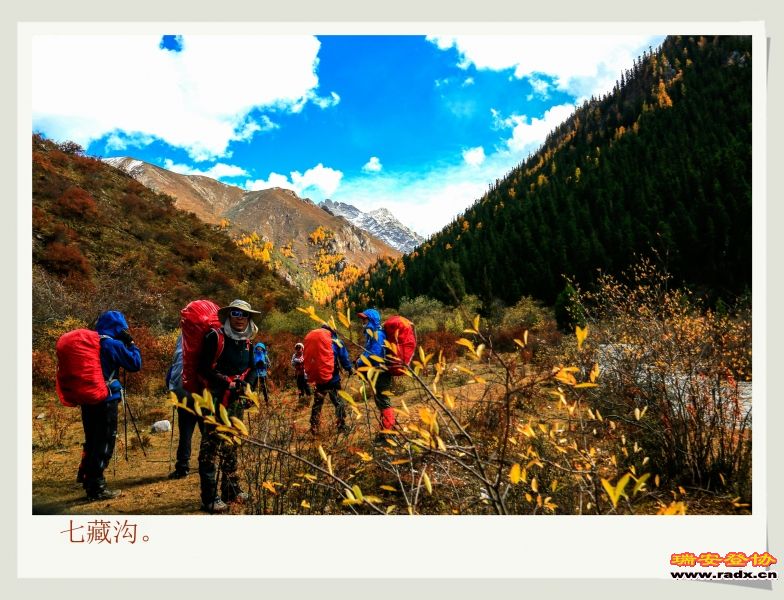 _MG_1804.JPG