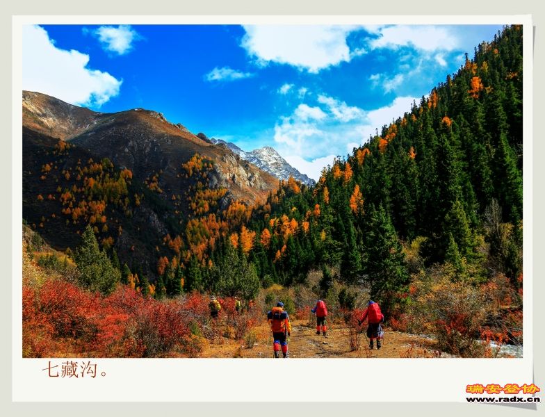_MG_1808.JPG