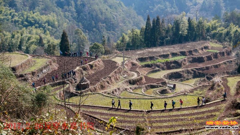 _MG_4062.JPG