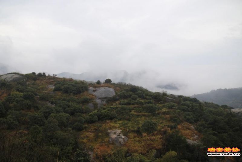 _mg_0011.jpg