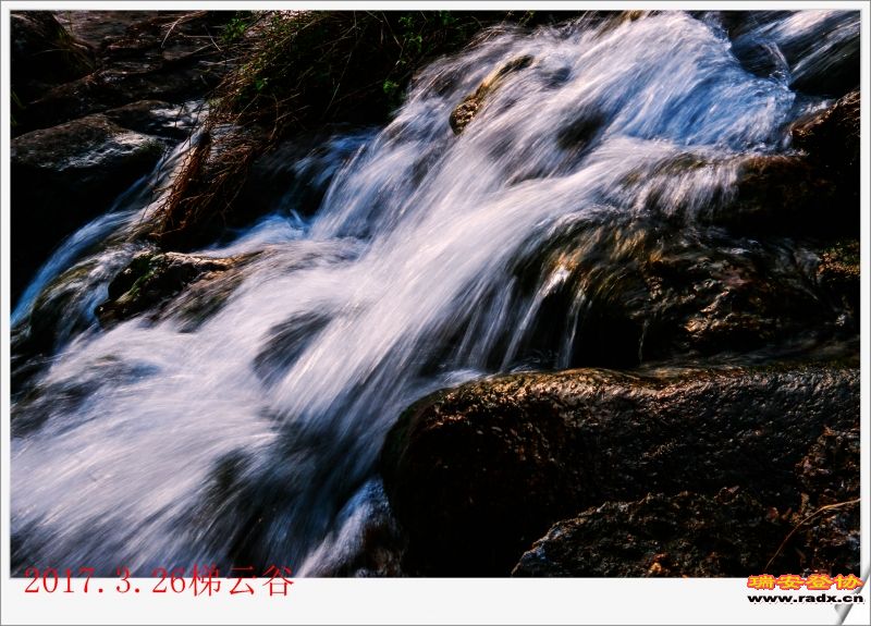 _MG_5263.JPG