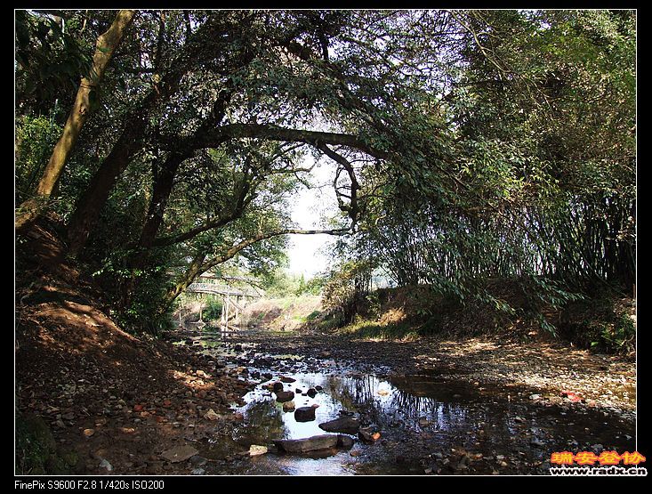 溪水因修竹而青翠透彻。