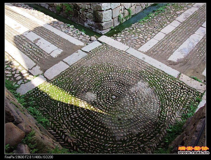 再一次去看看美丽的官道。