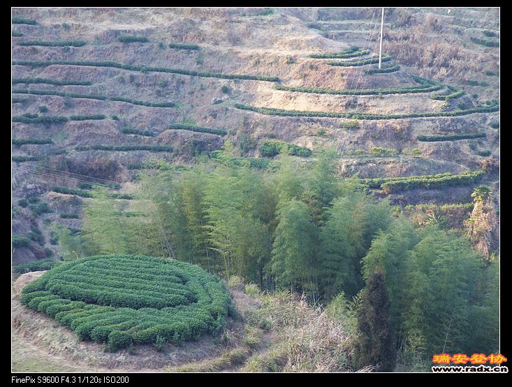去社口镇的路上。