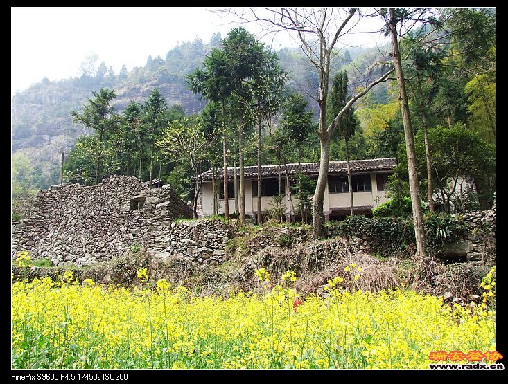 山花与老屋相映成趣。