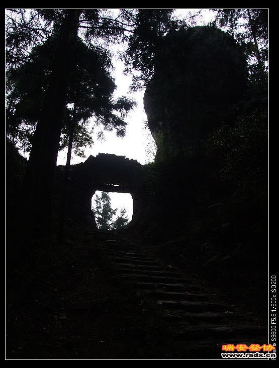 逆光拍出来的效果。